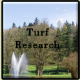turf-research.jpg